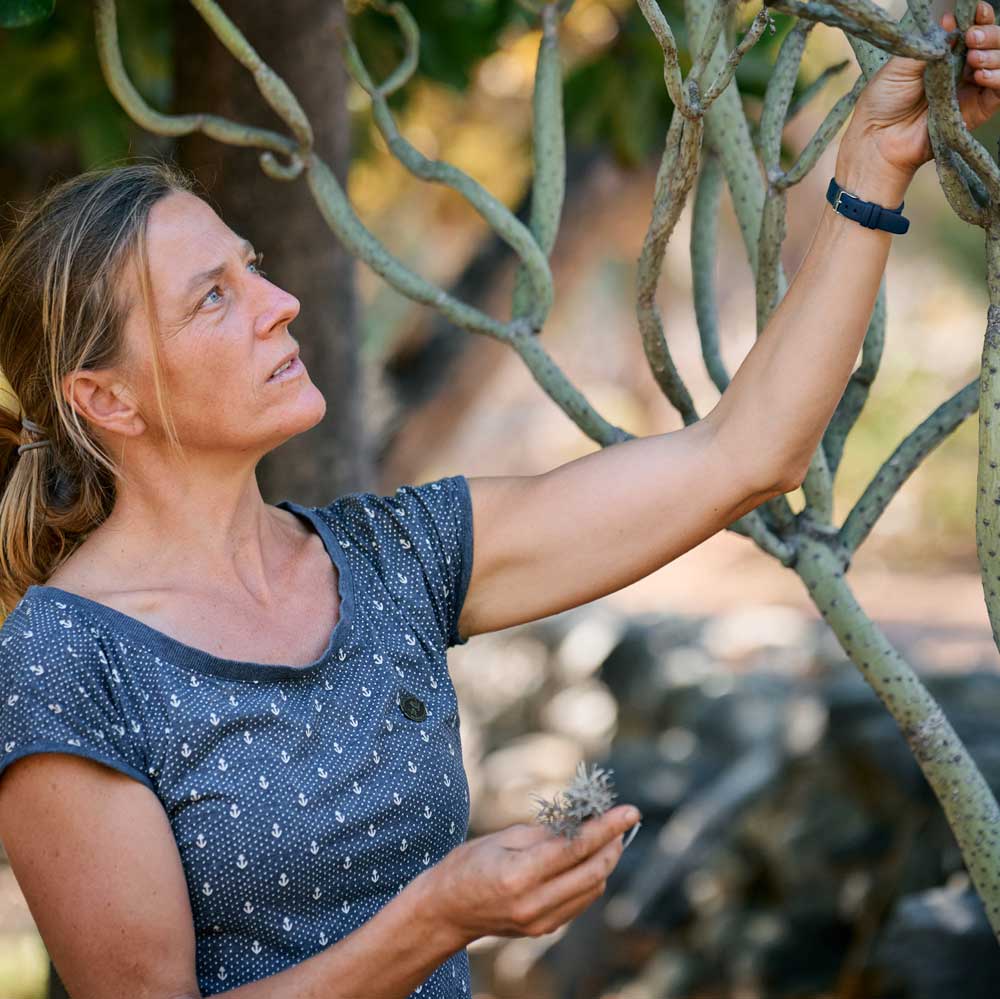 Zdenka Hajkova botanist Zdenka 1
