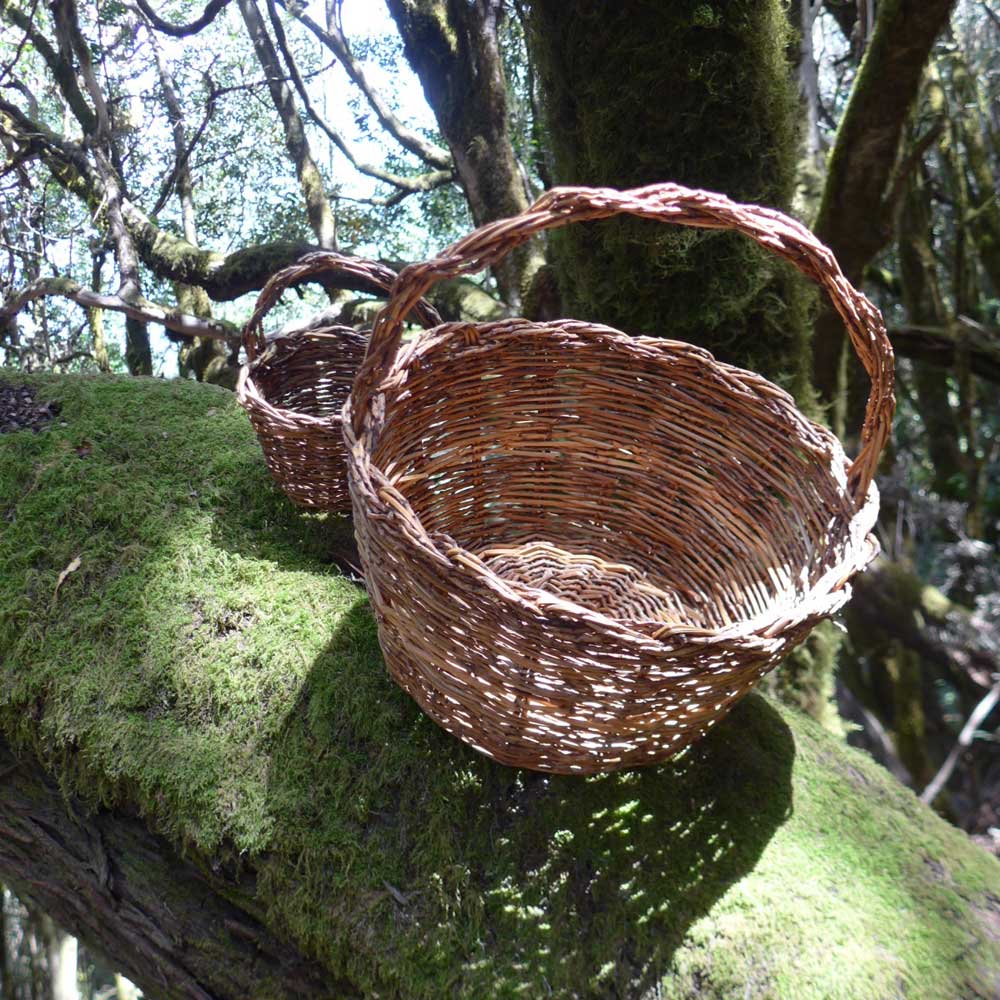 Cestas de escoba de palmera canasta con mano